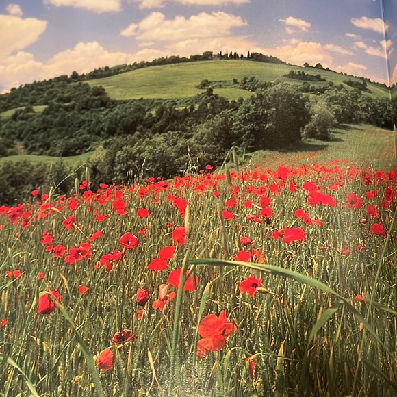 Frances Mayes “InTuscany” A Table, Picture, Travel, Story, Recipe Book. The Best - Picture 6 of 16